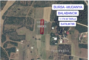 BURSA MUDANYA BALABANCIK  KÖYÜNDE 1.174 M² TARLA SATILIKTIR. - BURSA MUDANYA fotoğraf 3